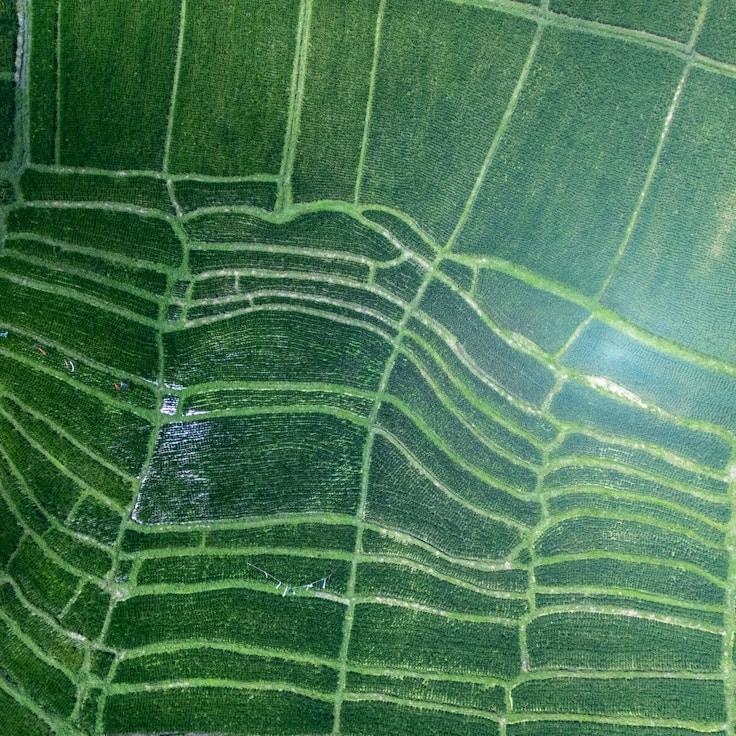 Family terraces and cafés for calm evenings in Paris